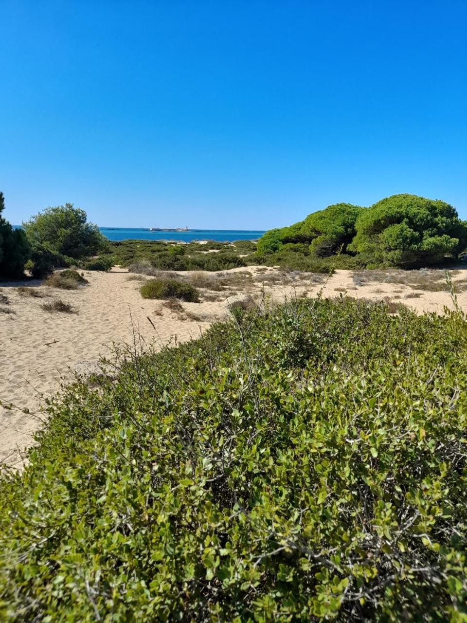 Apartamento Playa La Barrosa Chiclana de la Frontera Zewnętrze zdjęcie