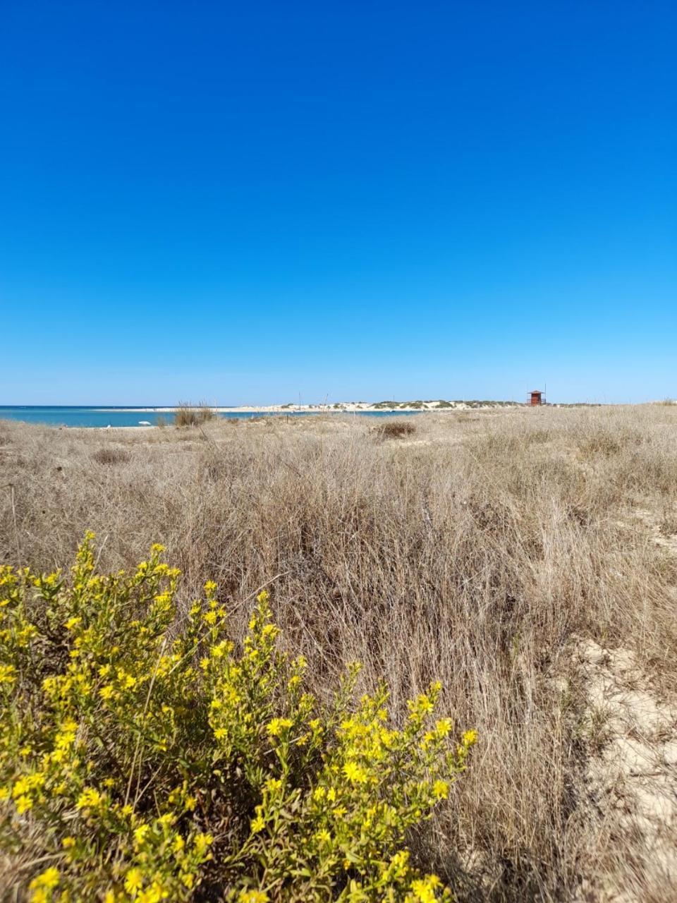 Apartamento Playa La Barrosa Chiclana de la Frontera Zewnętrze zdjęcie