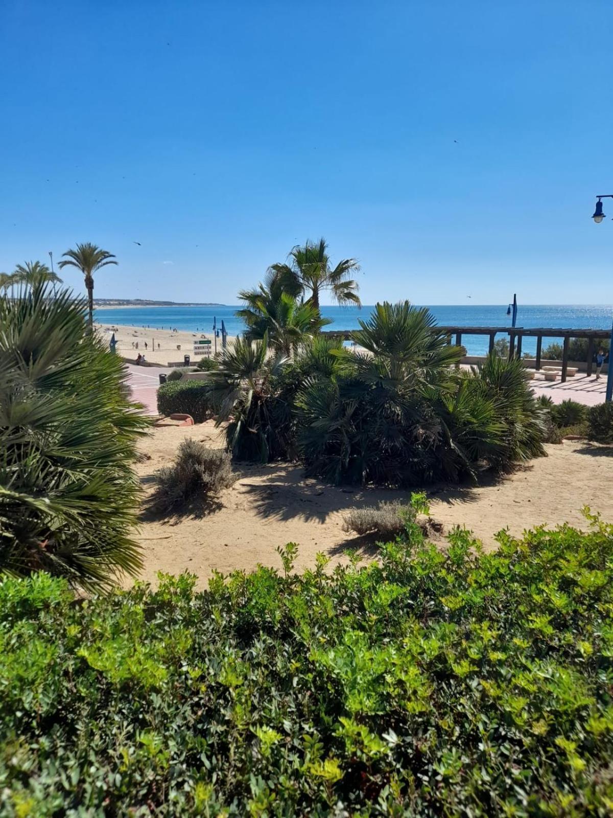 Apartamento Playa La Barrosa Chiclana de la Frontera Zewnętrze zdjęcie